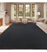 qulint 8x10 Area Rug for Living Room, Modern Large Washable Rug for Bedroom Dark Grey Thickened M...