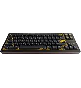 JSJT Black Keycaps - ABS Key Caps Cherry Profile Keycap Set, Loong Themed Keycap 155 Keys Suitabl...