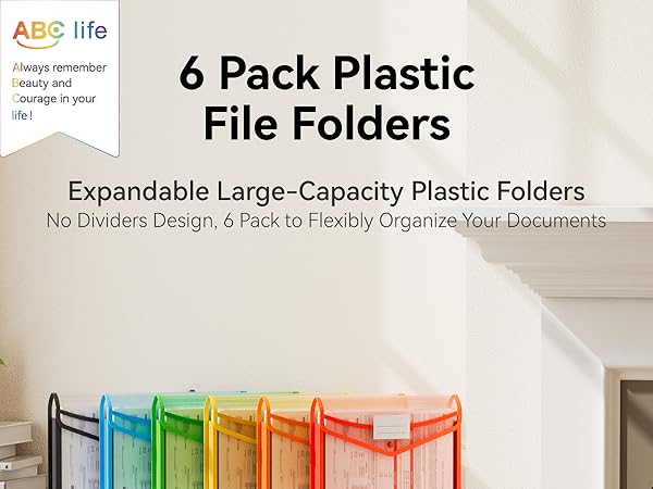 Plastic Expanding File Folder