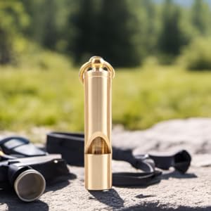 Loudest Brass whistle