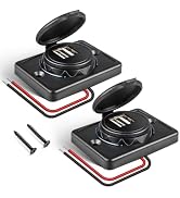 Anina 2pcs Dual USB Car Charger Socket with Cap 12V/24V RV Usb Outlet USB-A Port Panel Wall Surfa...