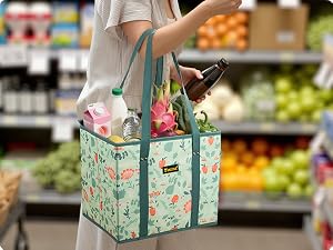 grocery bags