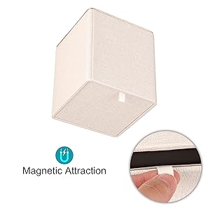 Magnetic Design