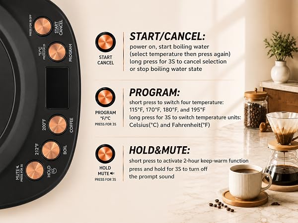 gooseneck electric kettle with temperature control
