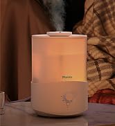 Humidifiers for Large Room