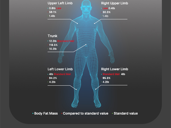 Segmental Fat Analysis