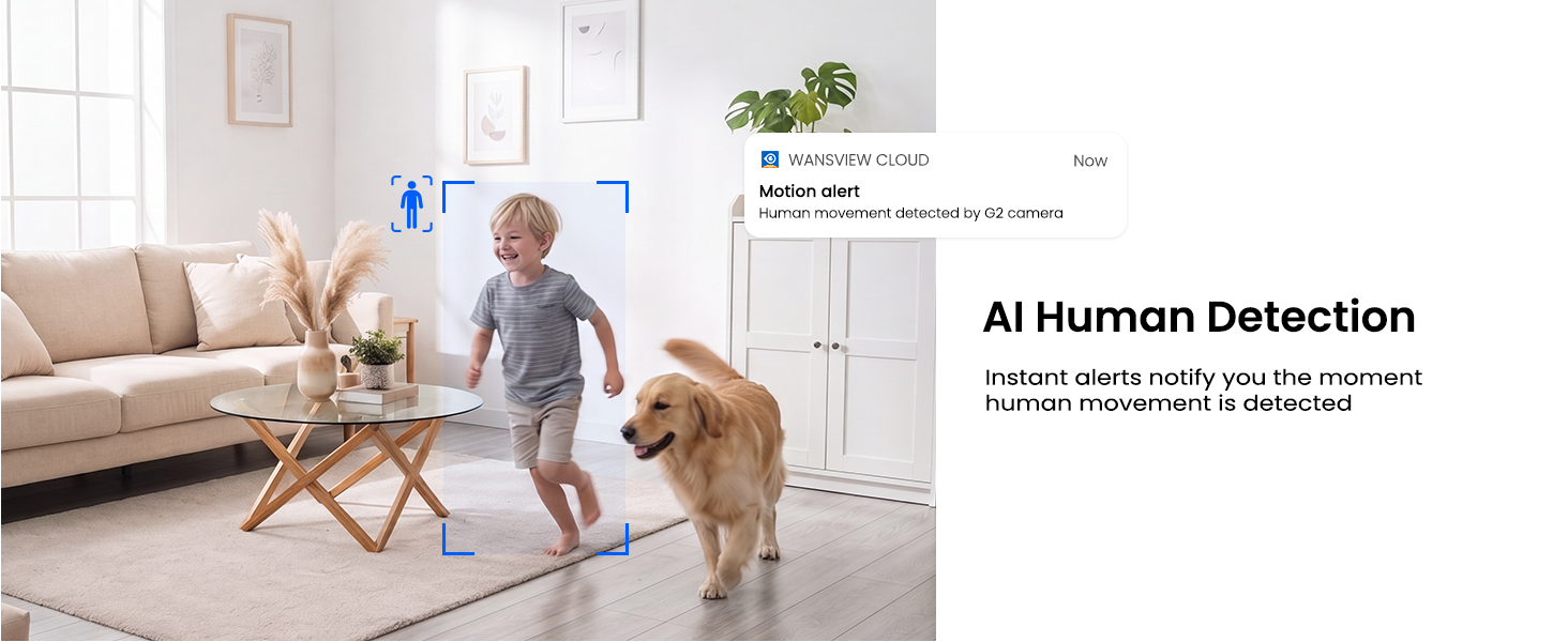 AI Human Detection
