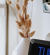 Digital Wall Clock, 11.5" Extra Large Display Calendar Alarm Day Clock with Date and of Week, Tem...