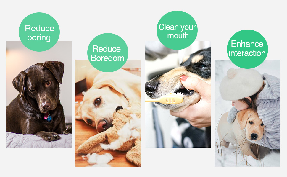 dog chew toys