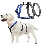 PUPTECK Escape Proof Dog Harness - No Pull Soft Padded Full Body Pet Halter Harness with Lift Han...