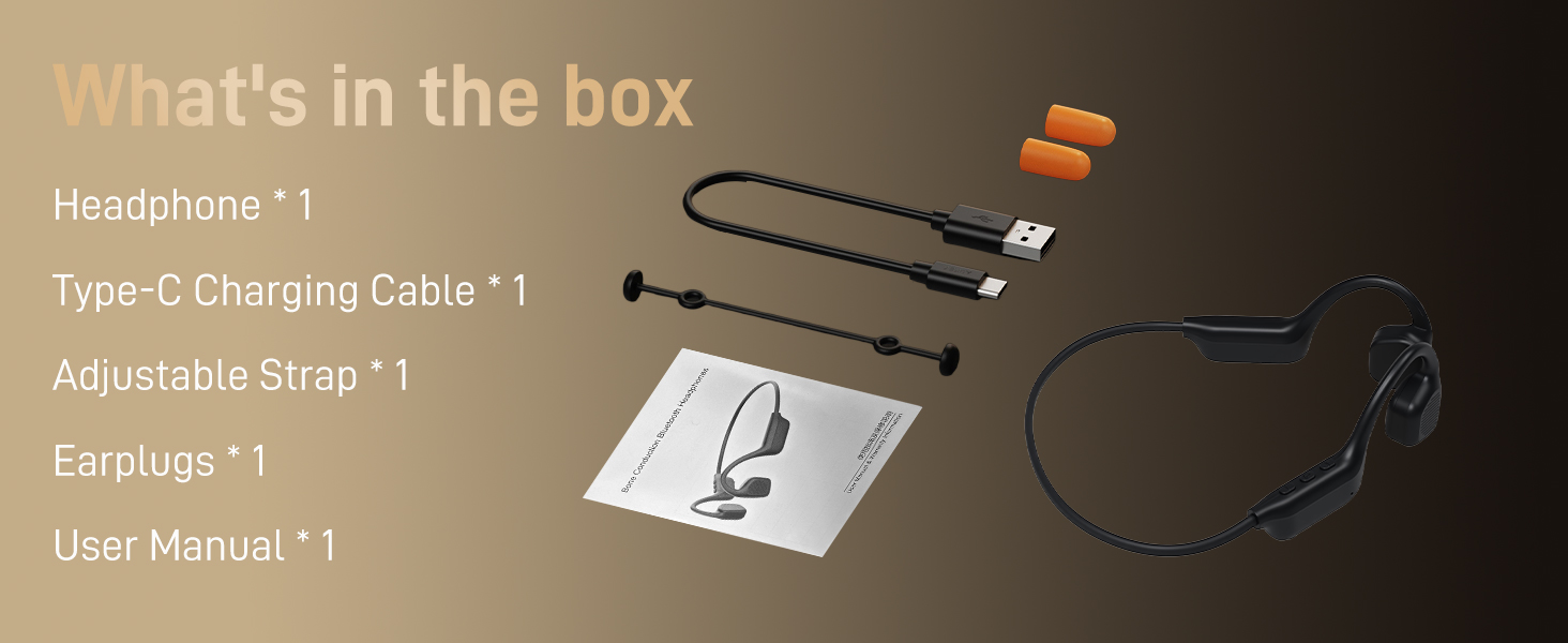 What's in the box
