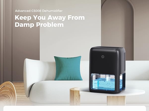 Dehumidifier