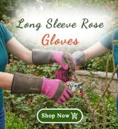 Woman gloves