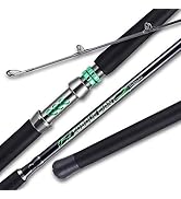 Sougayilang Spinning & Casting Catfish Rod,2 Piece Medium Heavy Portable Travel Catfish Fishing R...