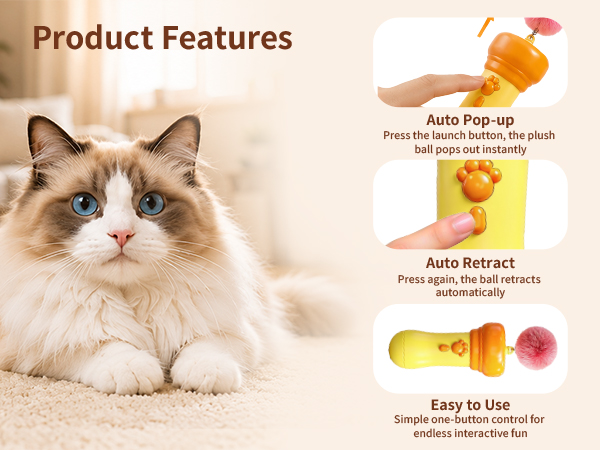 feather cat toy