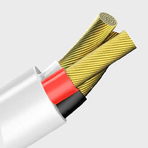 Extenison Cord 10FT