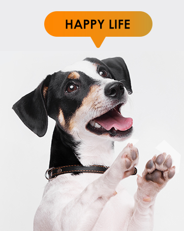 dog nail trimmer