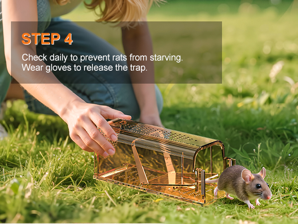 catch and release mouse traps