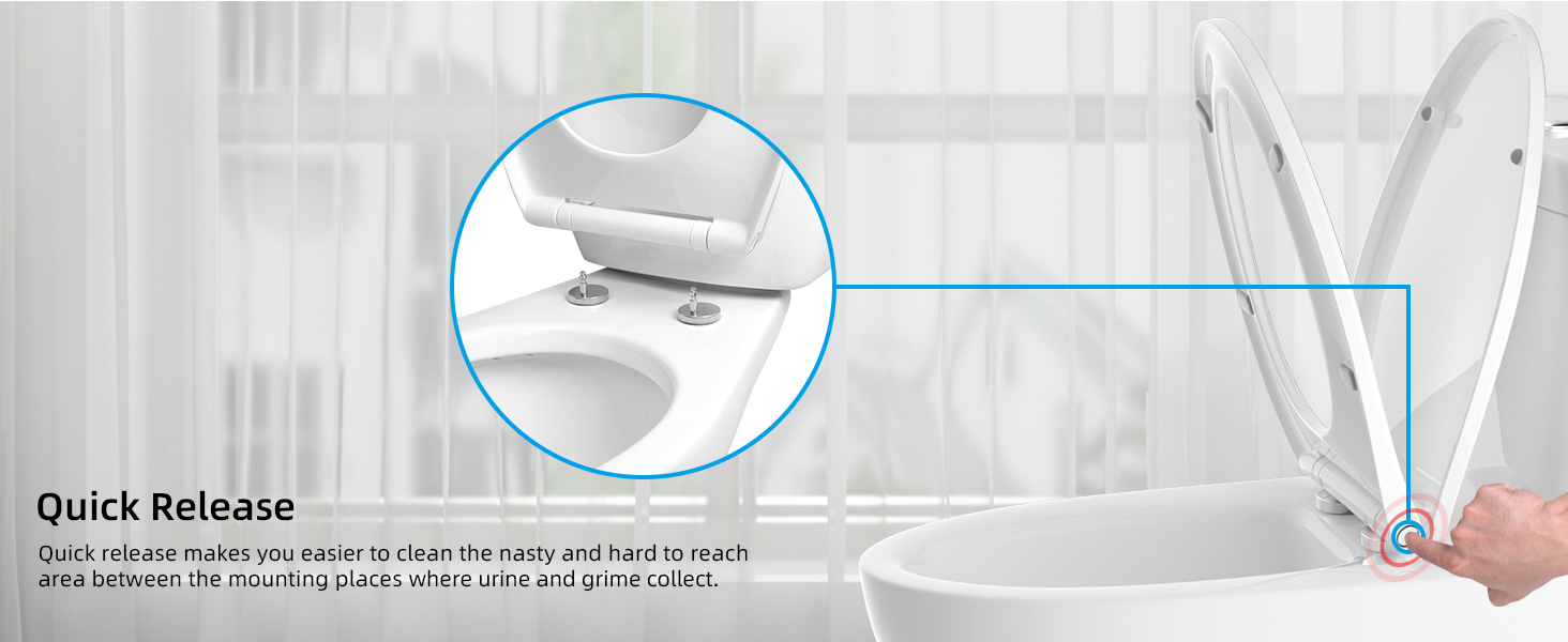 toilet seat