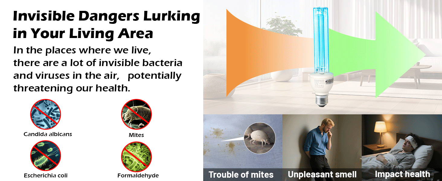 Purifies and refreshes the air naturally, without the use of chemical substances