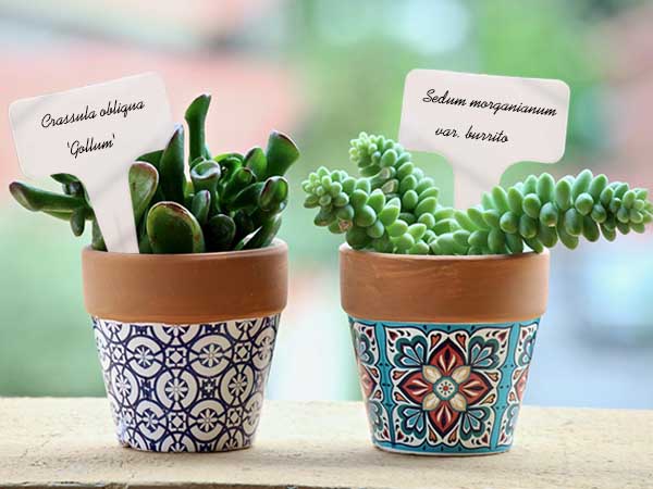 Flower Name Tag