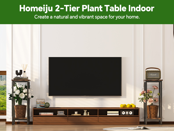 plant table indoor