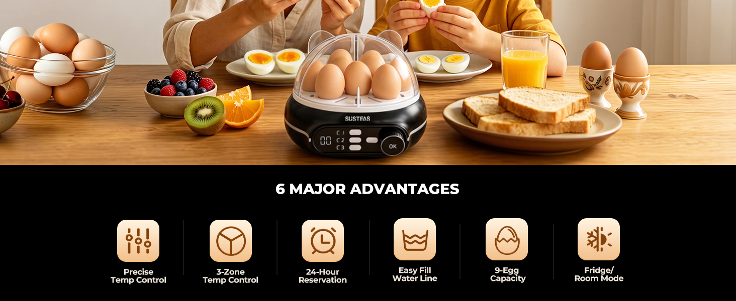 rapid egg cooker 6 egg capacity