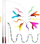 FYNIGO Interactive Cat Kitten Wand Toy Set,2 Retractable Fishing Pole+1 Rainbow Teaser Wand+9 Ref...