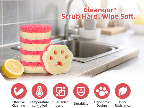 Dish Sponges