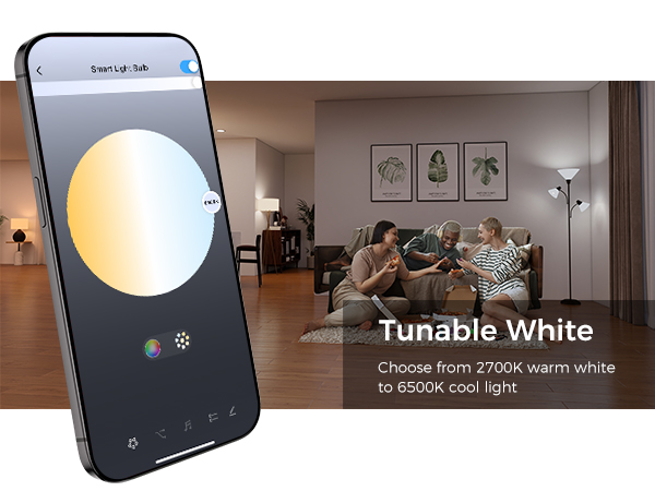 smart light bulbs G16.5