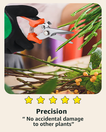 gardening shears pruning