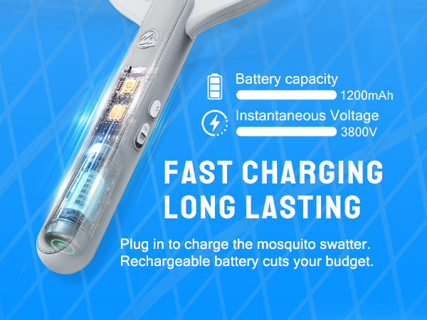 Electric Fly Swatter