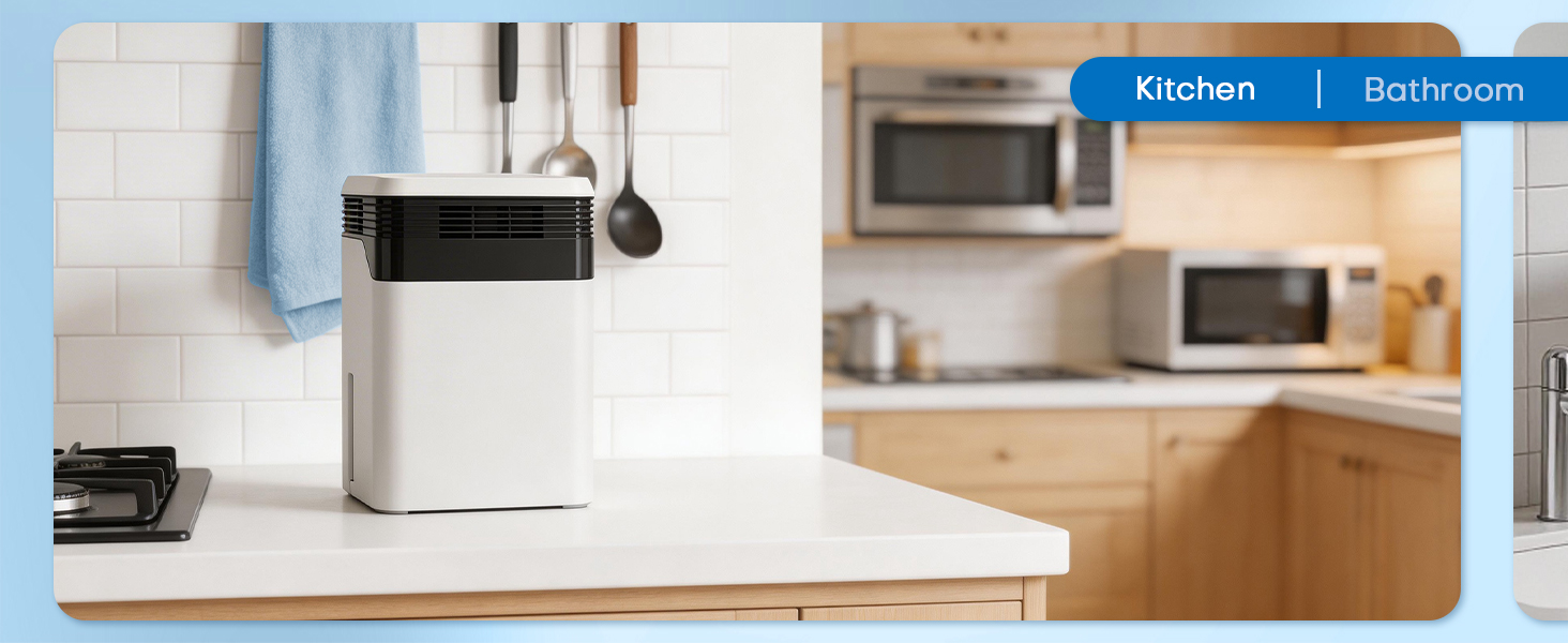 Dehumidifier