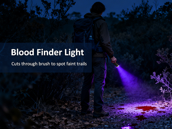 blood tracking light