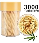 TRTRin [3000 Count 100% Natural Bamboo Toothpicks - With 1 Piece Reusable Toothpick Holder, Sturd...
