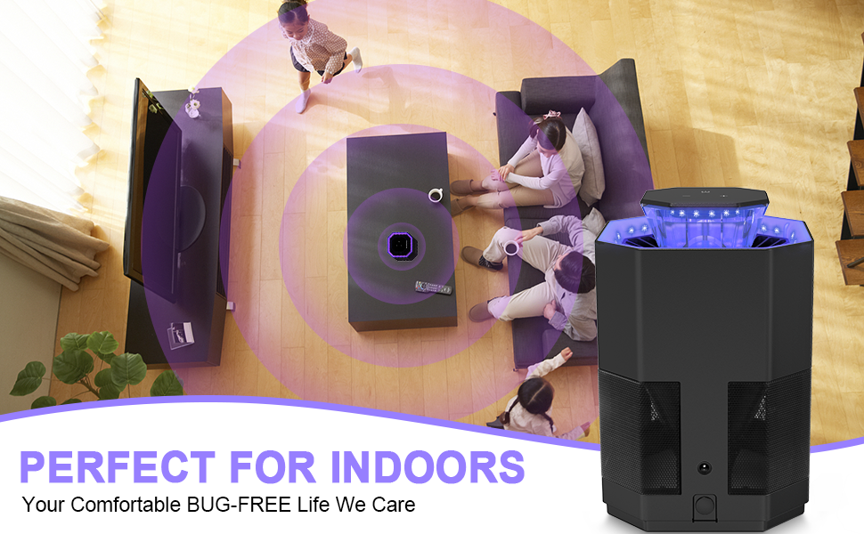 fly trap indoor