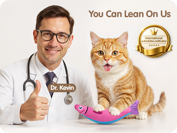 interactive cat toy