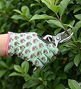Woman Gloves