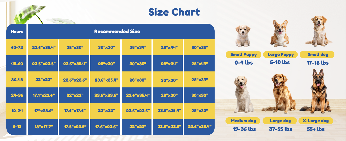 Pee Pads