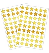1080 Holographic Foil Gold Star Stickers for Kids Reward, Behavior Chart, Student Planner and Sch...