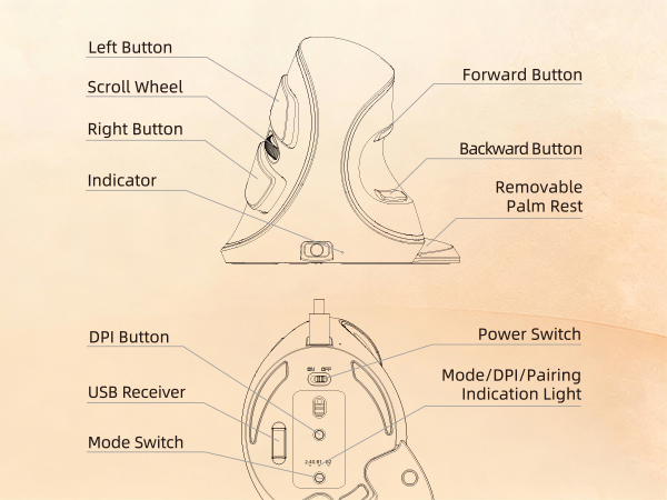 DELUX Wireless Ergonomic Vertical Mouse,Ergo Mouse for Large Hands (M618PD)