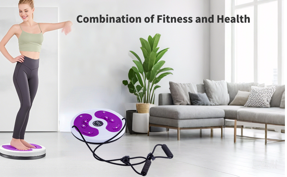 Ab Twist Waist Disc Board