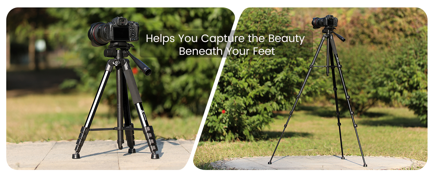 73 inch or 19 inch tall camera tripod