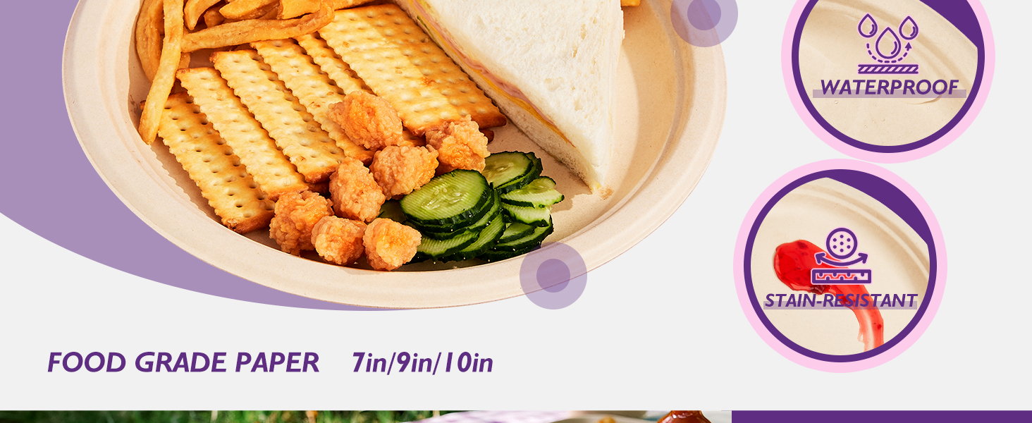 Compostable Paper Plates