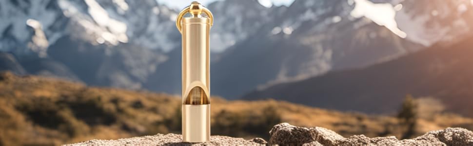 Brass whistle