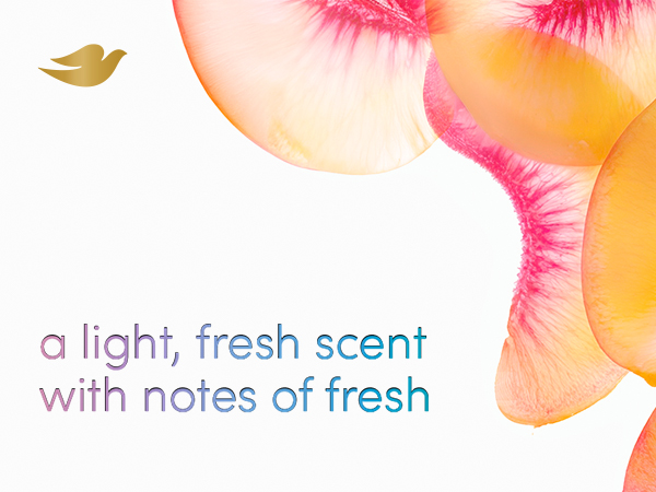 0.37591241157852041791275657639null3384a7.jpg