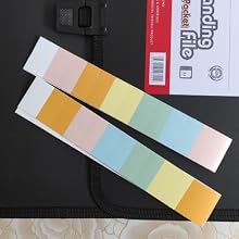 12 Clear Dividers with Insert Color Labels