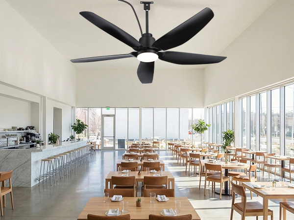 ceiling fan
