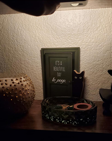 motion sensor night light