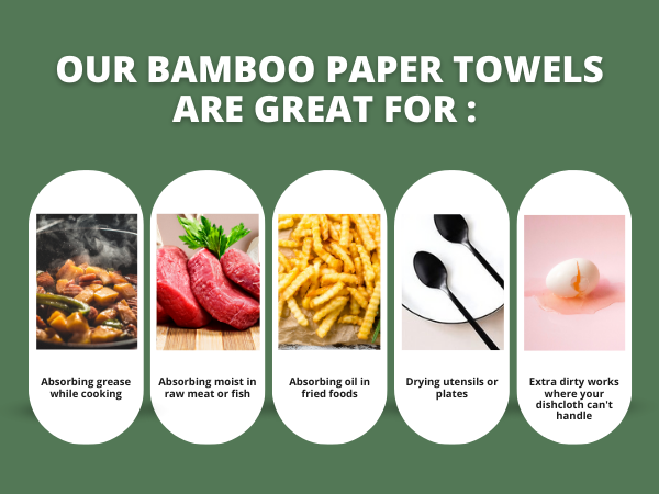 PAPER TOWELS 05 022323